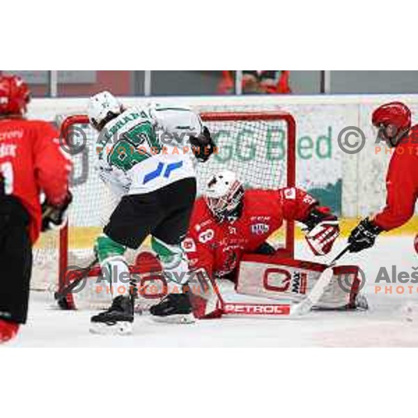 Marc Oliver Vallerand and Zan Us in action during second game of the Final of Slovenian Championship ice-hockey match between SIJ Acroni Jesenice and SZ Olimpija in Jesenice, Slovenia on May 3, 2021