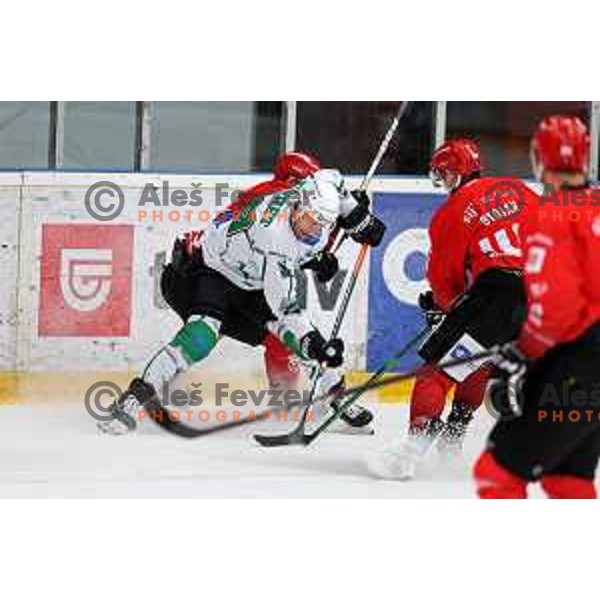 Anze Ropret in action during second game of the Final of Slovenian Championship ice-hockey match between SIJ Acroni Jesenice and SZ Olimpija in Jesenice, Slovenia on May 3, 2021