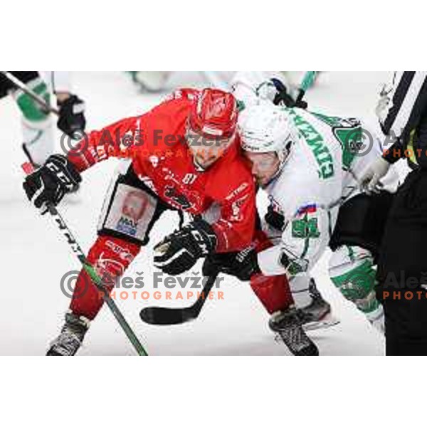 Saso Rajsar and Tadej Cimzar in action during second game of the Final of Slovenian Championship ice-hockey match between SIJ Acroni Jesenice and SZ Olimpija in Jesenice, Slovenia on May 3, 2021