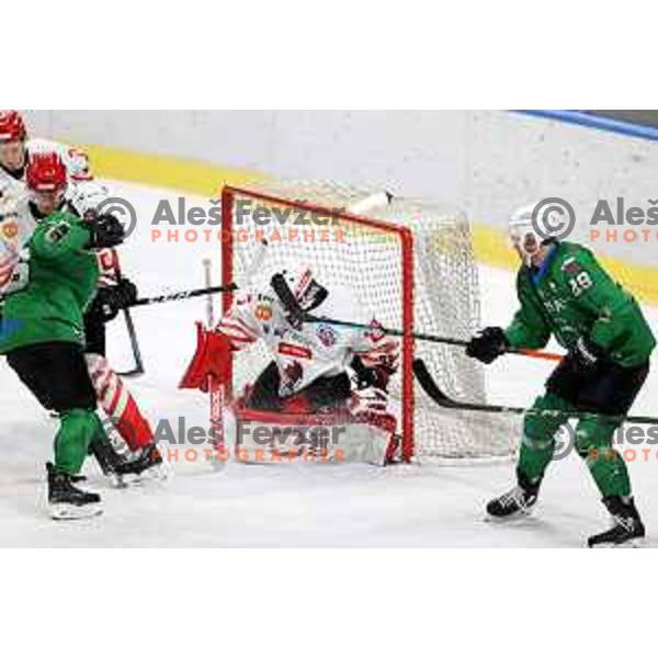 Zan Us in action during third game of the Final of Slovenian Championship ice-hockey match between SZ Olimpija and SIJ Acroni Jesenice in Ljubljana, Slovenia on May 5, 2021