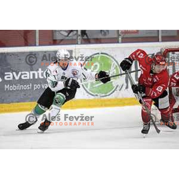 Marc Oliver Vallerand and Bine Masic during fourth game of the Final of Slovenian Championship ice-hockey match between SIJ Acroni Jesenice and SZ Olimpija in Jesenice, Slovenia on May 7, 2021