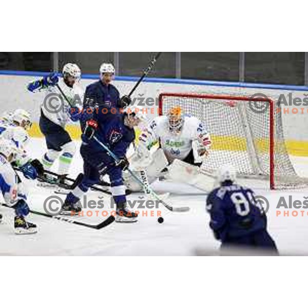 Luka Gracnar in action during Beat Covid-19 ice-hockey tournament match between Slovenia and France in Tivoli Hall, Ljubljana on May 17, 2021
