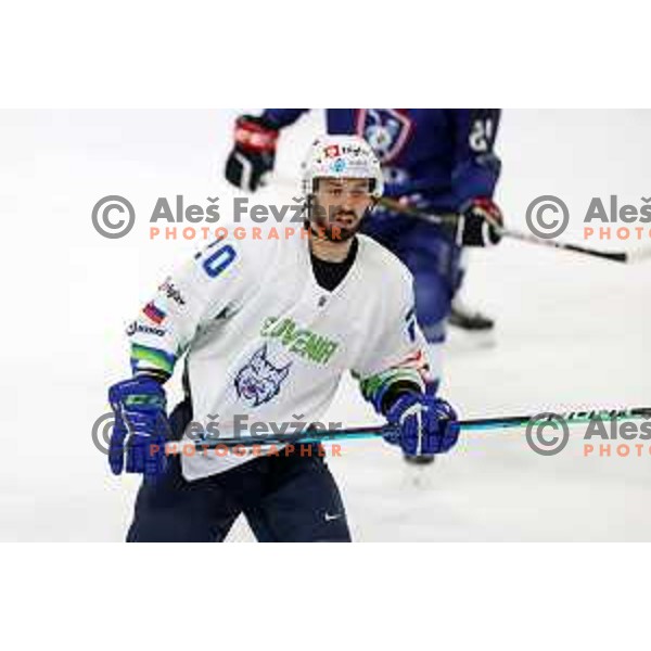 Gregor Koblar in action during Beat Covid-19 ice-hockey tournament match between Slovenia and France in Tivoli Hall, Ljubljana on May 17, 2021