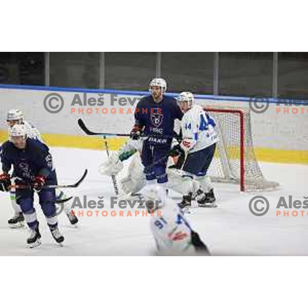 Bine Masic in action during Beat Covid-19 ice-hockey tournament match between Slovenia and France in Tivoli Hall, Ljubljana on May 17, 2021