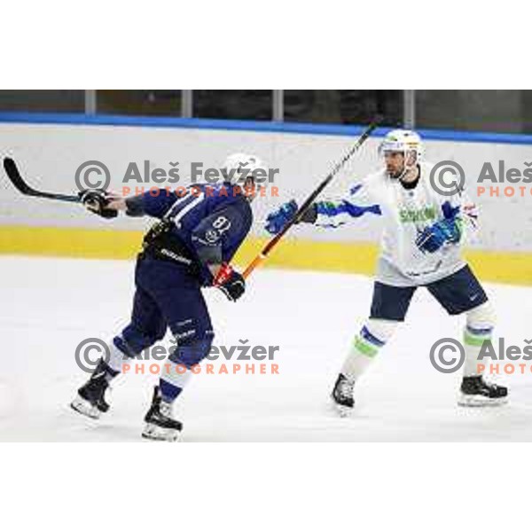 Matic Podlipnik in action during Beat Covid-19 ice-hockey tournament match between Slovenia and France in Tivoli Hall, Ljubljana on May 17, 2021