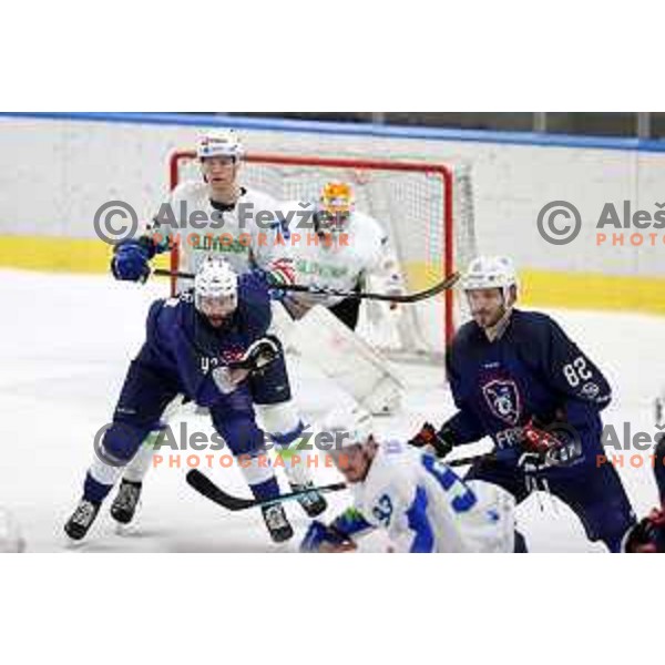 Kristjan Cepon in action during Beat Covid-19 ice-hockey tournament match between Slovenia and France in Tivoli Hall, Ljubljana on May 17, 2021