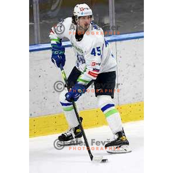 Luka Maver in action during Beat Covid-19 ice-hockey tournament match between Slovenia and Romania in Tivoli Hall, Ljubljana on May 18, 2021