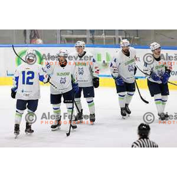 Anze Kuralt, Bine Masic, Aleksandar Magovac and Ken Ograjensek during Beat Covid-19 ice-hockey tournament match between Slovenia and Romania in Tivoli Hall, Ljubljana on May 18, 2021