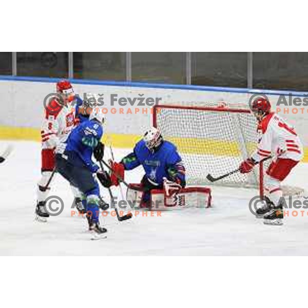 Beat Covid-19 ice-hockey tournament match between Slovenia and Poland in Tivoli Hall, Ljubljana on May 20, 2021