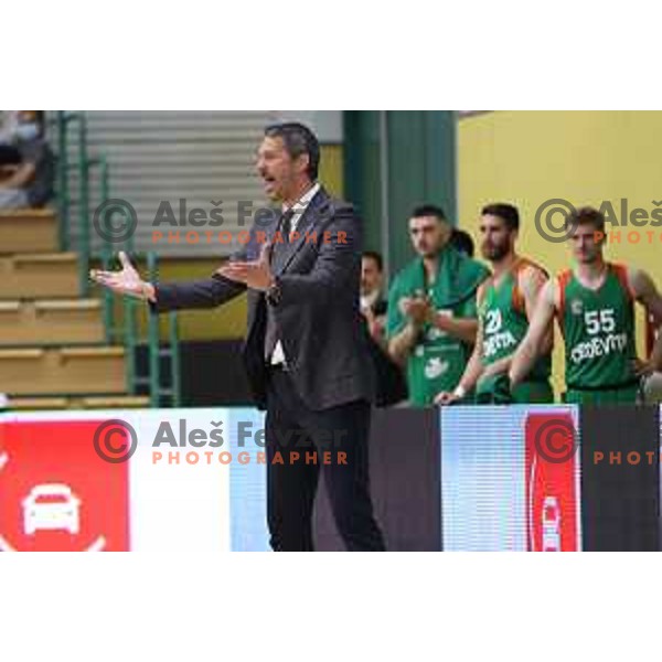 Head coach Jurica Golemac in action during second game of the Final of Nova KBM league between Krka and Cedevita Olimpija in Novo Mesto on May 28, 2021