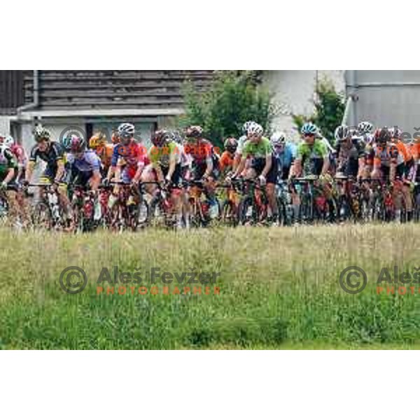 Tadej Pogacar at Tour of Slovenia 2021 UCI Pro Cycling race fifth stage Ljubljana-Novo mesto, Slovenia on June 13, 2021