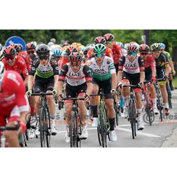 at Tour of Slovenia 2021 UCI Pro Cycling race fifth stage Ljubljana-Novo mesto, Slovenia on June 13, 2021
