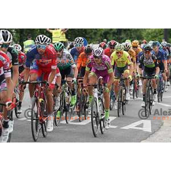 at Tour of Slovenia 2021 UCI Pro Cycling race fifth stage Ljubljana-Novo mesto, Slovenia on June 13, 2021