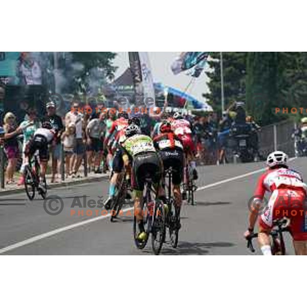 Matej Mohoric and Tadej Pogacar cycling in Men’s Elite category race (174 km) at Slovenian Road Championship in Koper, Slovenia on June 20, 2021