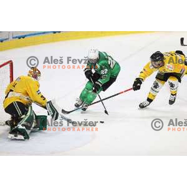 Guillaume Leclerc of SZ Olimpija in action during IceHL match between SZ Olimpija and Pustertal Wolfe in Ljubljana, Slovenia on October 8, 2021