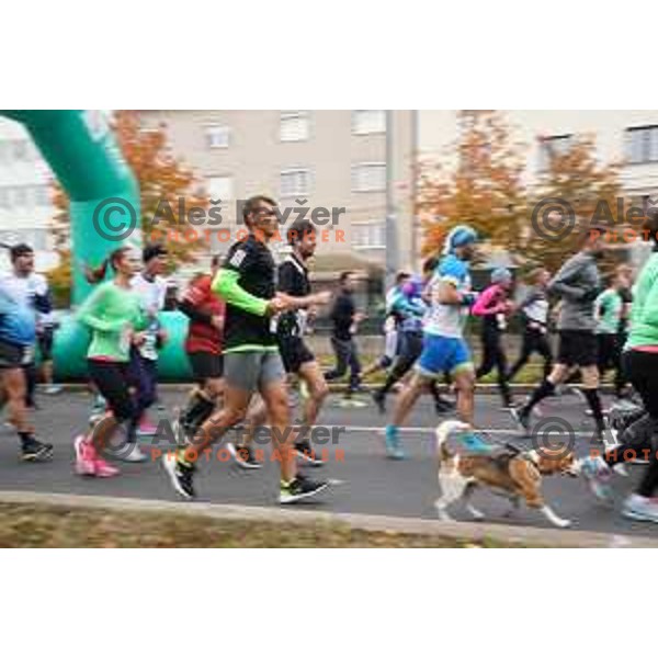 25th Ljubljana Marathon, Slovenia on October 24, 2021