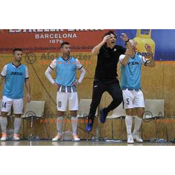 Coach Kujtim Morina in action during UEFA Futsal Champions league match between Dobovec and ACCS in Podcetrtek Sports hall,, Slovenia on October 28, 2021
