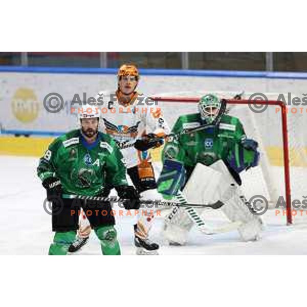 Zan Us of SZ Olimpija in action during IceHL match between SZ Olimpija and Black Wings Linz in Ljubljana, Slovenia on October 29, 2021