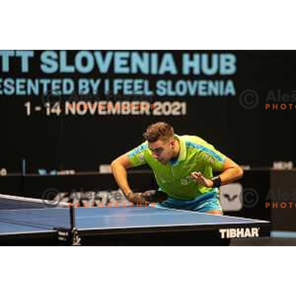in action during WTT Slovenian hub, presented by I feel Slovenia in Lasko, Slovenia on November 11, 2021