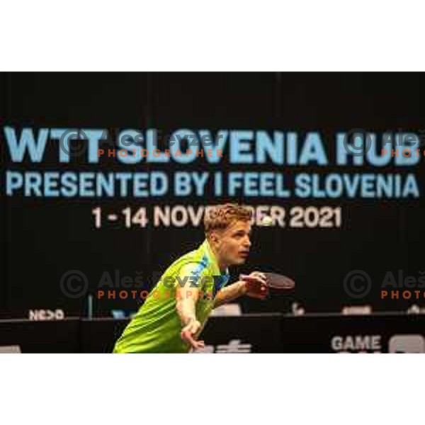 Peter Hribar in action during WTT Slovenian hub, presented by I feel Slovenia in Lasko, Slovenia on November 11, 2021