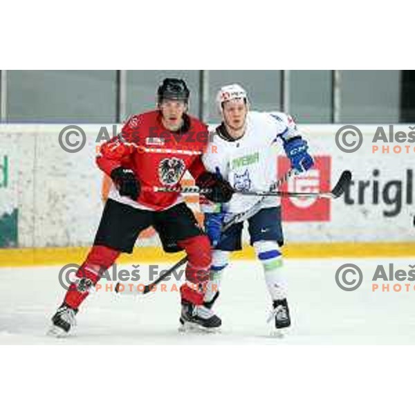 In action during 4 nations ice-hockey tournament between Slovenia and Austria in Podmezakla hall in Jesenice, Slovenia on November 13, 2021
