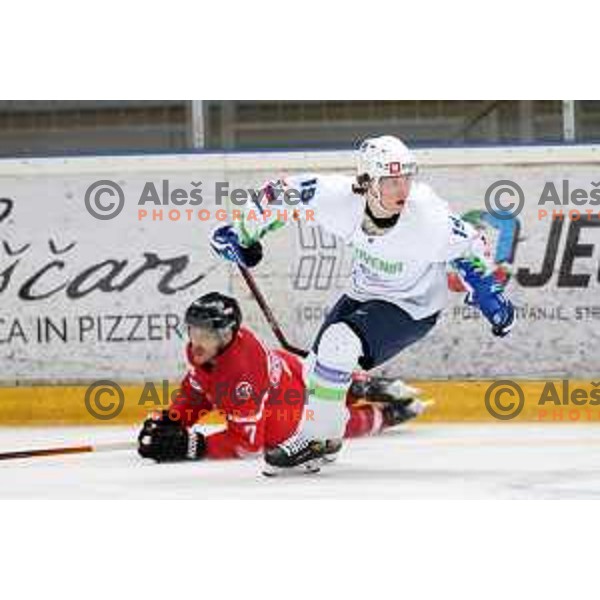 Aljaz Predan in action during 4 nations ice-hockey tournament between Slovenia and Austria in Podmezakla hall in Jesenice, Slovenia on November 13, 2021