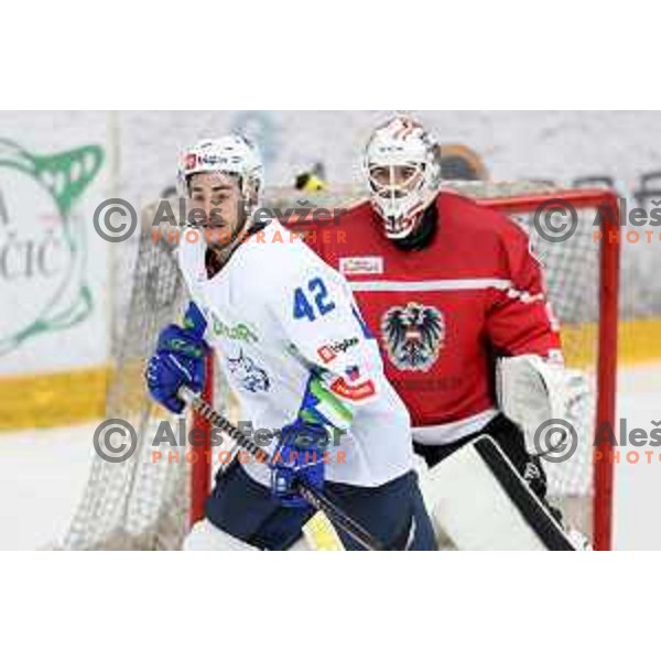 Jaka Sturm in action during 4 nations ice-hockey tournament between Slovenia and Austria in Podmezakla hall in Jesenice, Slovenia on November 13, 2021