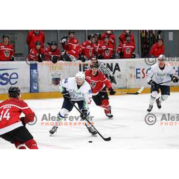 Nejc Stojan in action during 4 nations ice-hockey tournament between Slovenia and Austria in Podmezakla hall in Jesenice, Slovenia on November 13, 2021