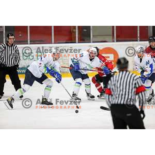 Jaka Sturm, Luka Kalan and Gregor Koblar in action during 4 nations ice-hockey tournament between Slovenia and Austria in Podmezakla hall in Jesenice, Slovenia on November 13, 2021