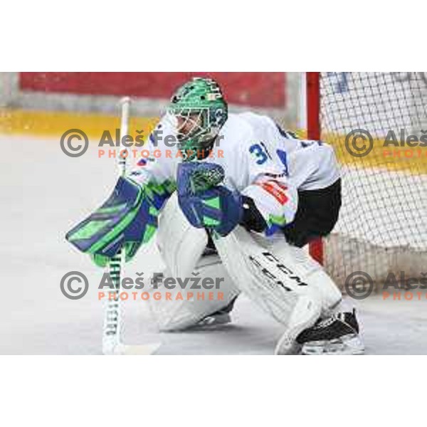 Zan Us in action during 4 nations ice-hockey tournament between Slovenia and Austria in Podmezakla hall in Jesenice, Slovenia on November 13, 2021