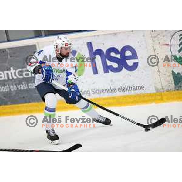 Matic Podlipnik in action during 4 nations ice-hockey tournament between Slovenia and Austria in Podmezakla hall in Jesenice, Slovenia on November 13, 2021