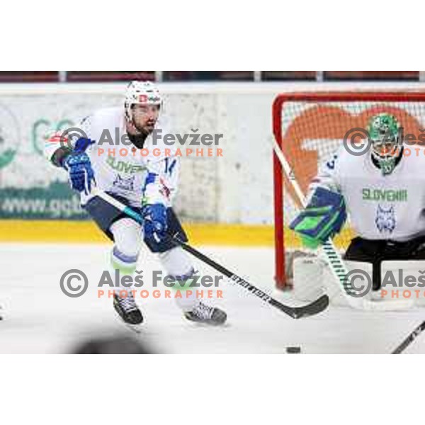 Matic Podlipnik in action during 4 nations ice-hockey tournament between Slovenia and Austria in Podmezakla hall in Jesenice, Slovenia on November 13, 2021