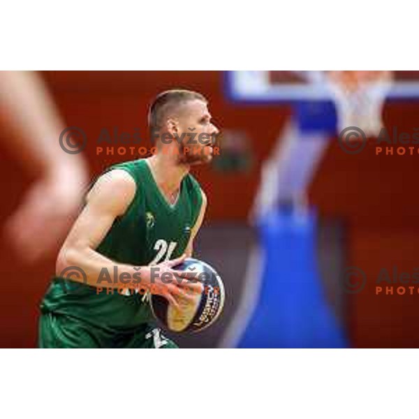 Luka Lapornik in action during Nova KBM league match between Helios Suns and Krka in Domzale, Slovenia on November 16, 2021