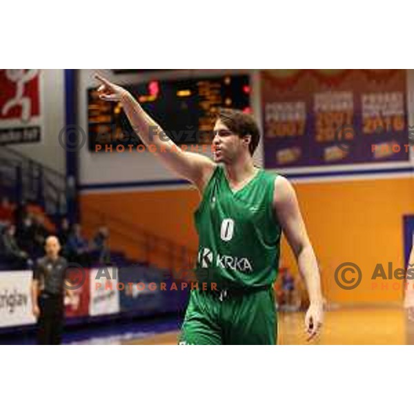 Marko Arapovic in action during Nova KBM league match between Helios Suns and Krka in Domzale, Slovenia on November 16, 2021