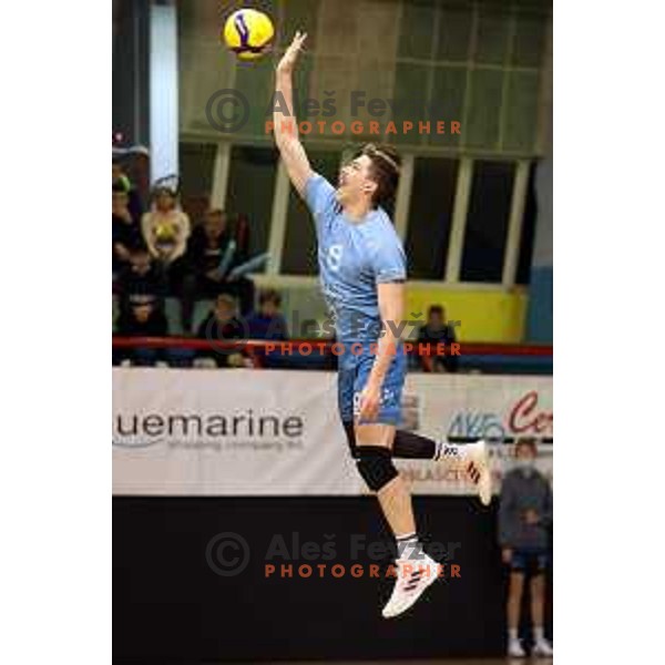 Jan Klobucar in action during 1.DOL volleyball match between Calcit Volley and ACH Volley in Kamnik, Slovenia on November 27, 2021