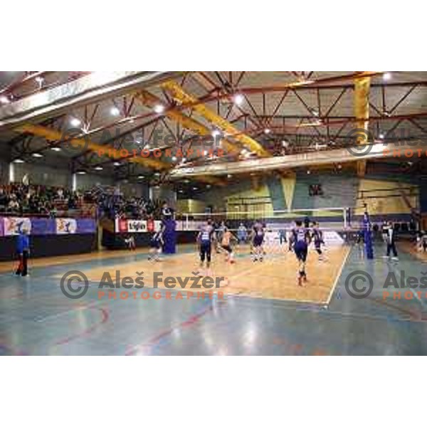 n action during 1.DOL volleyball match between Calcit Volley and ACH Volley in Kamnik, Slovenia on November 27, 2021