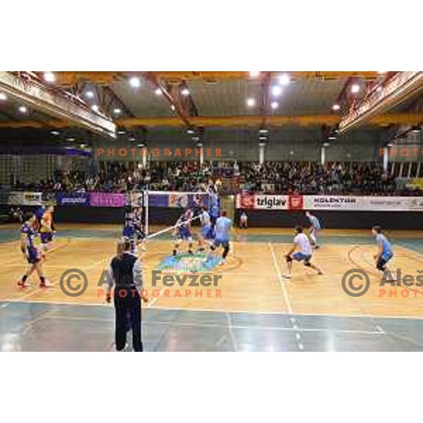 n action during 1.DOL volleyball match between Calcit Volley and ACH Volley in Kamnik, Slovenia on November 27, 2021