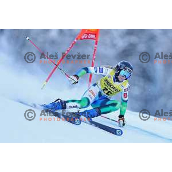 Ana Bucik (SLO) skiing in the first run of AUDI FIS Ski World Cup Giant Slalom for 58.Golden Fox-Zlata Lisica 2022 in Kranjska gora, Slovenia on January 8, 2022