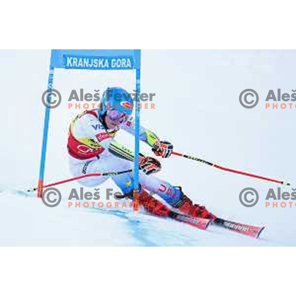 Mikaela Shiffrin (USA) skiing in the first run of AUDI FIS Ski World Cup Giant Slalom for 58.Golden Fox-Zlata Lisica 2022 in Kranjska gora, Slovenia on January 8, 2022