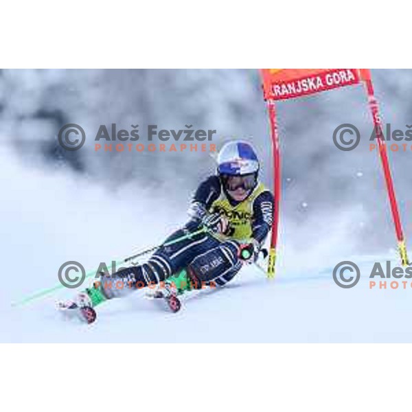 Alice Robinson (NZL) skiing in the first run of AUDI FIS Ski World Cup Giant Slalom for 58.Golden Fox-Zlata Lisica 2022 in Kranjska gora, Slovenia on January 8, 2022