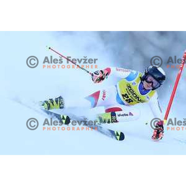 Skiing in the first run of AUDI FIS Ski World Cup Giant Slalom for 58.Golden Fox-Zlata Lisica 2022 in Kranjska gora, Slovenia on January 8, 2022