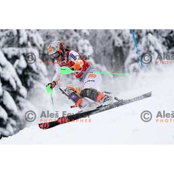 Petra Vlhova (SVK) skiing in the first run of AUDI FIS Ski World Cup Slalom for 58.Golden Fox-Zlata Lisica 2022 in Kranjska gora, Slovenia on January 9, 2022