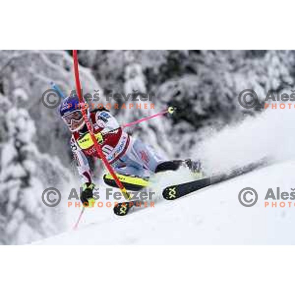 Martina Dubovska (CZE) skiing in the first run of AUDI FIS Ski World Cup Slalom for 58.Golden Fox-Zlata Lisica 2022 in Kranjska gora, Slovenia on January 9, 2022