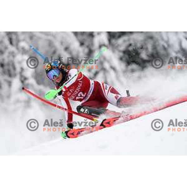 Katharina Gallhuber (AUT) skiing in the first run of AUDI FIS Ski World Cup Slalom for 58.Golden Fox-Zlata Lisica 2022 in Kranjska gora, Slovenia on January 9, 2022