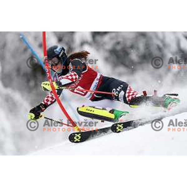 Leona Popovic (CRO) skiing in the first run of AUDI FIS Ski World Cup Slalom for 58.Golden Fox-Zlata Lisica 2022 in Kranjska gora, Slovenia on January 9, 2022