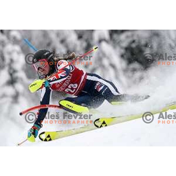 Charlie Guest (GBR) skiing in the first run of AUDI FIS Ski World Cup Slalom for 58.Golden Fox-Zlata Lisica 2022 in Kranjska gora, Slovenia on January 9, 2022