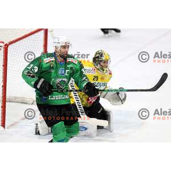 Ziga Pance of SZ Olimpija in action during IceHL match between SZ Olimpija and Vienna Capitals in Ljubljana, Slovenia on January 21, 2022