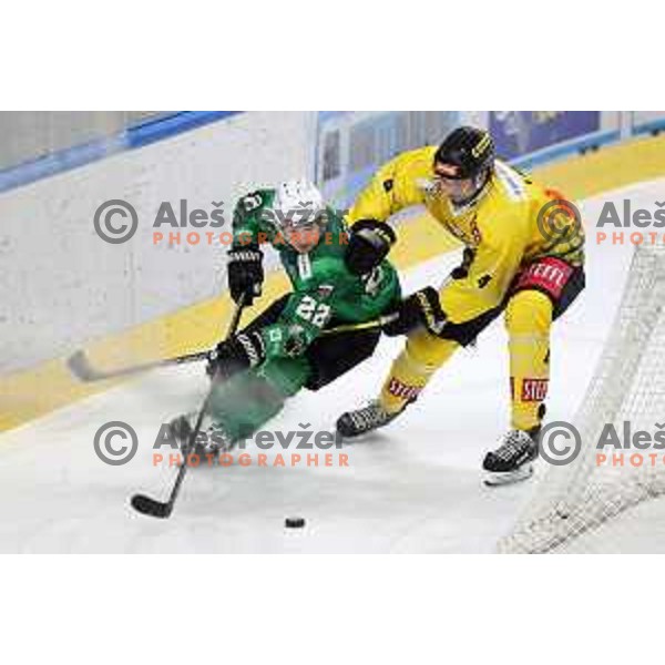 Guillaume Leclerc of SZ Olimpija in action during IceHL match between SZ Olimpija and Vienna Capitals in Ljubljana, Slovenia on January 21, 2022
