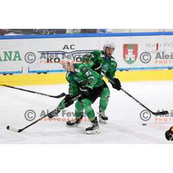 Blaz Tomazevic of SZ Olimpija in action during IceHL match between SZ Olimpija and Vienna Capitals in Ljubljana, Slovenia on January 21, 2022
