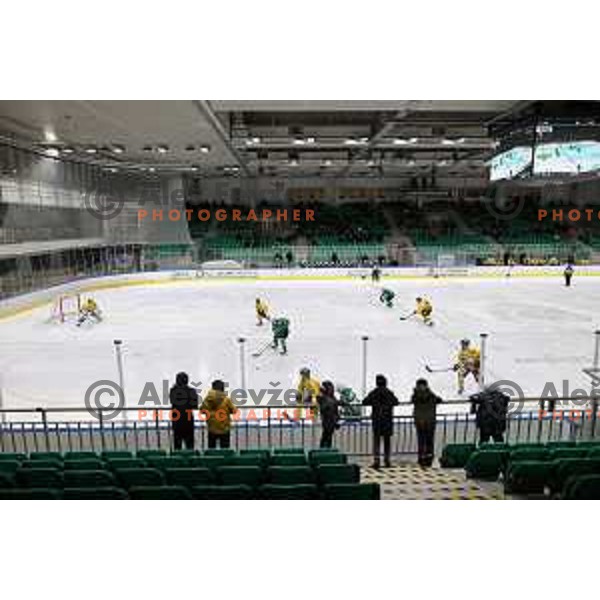 Fans of SZ Olimpija in action during IceHL match between SZ Olimpija and Vienna Capitals in Ljubljana, Slovenia on January 21, 2022